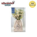 お買いものパンダ 【オリジナル商品】 ボタニカルスワッグ(小パンダ)