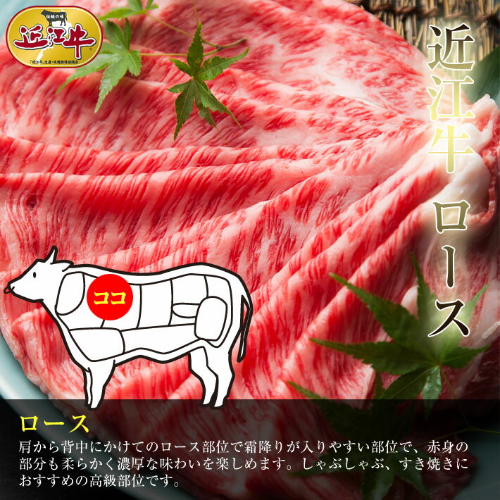 和牛 牛肉 肉 セット ギフト 近江牛家族で すき焼き　総内容量1.1kg4、5人前近江牛　すき焼きセット【御礼・御祝・内祝】御中元 御歳暮 御年賀冷凍4～5人前【あす楽】