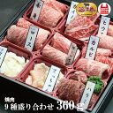 【送料無料】近江牛焼肉9種盛り合