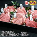 近江牛 【送料無料】近江牛焼肉6種盛り合わせ 計480g 滋賀県産 近江牛 牛肉 肉 お中元 お歳暮 ギフト 母の日・父の日シャトーブリアン・フィレ・サーロイン等御礼 お祝い 内祝