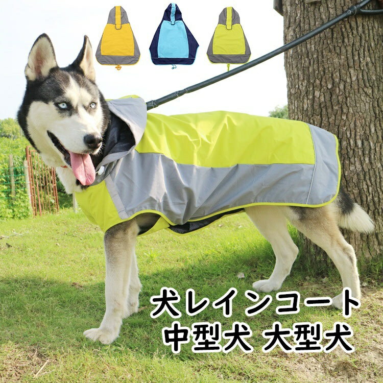 樂天商城 - 犬 レインコート 中型犬 着せやすい 大型犬 犬用レインコート ペットレインコート 散歩 撥水 防水 梅雨 柴犬 梅雨対策 大きいサイズ 簡単着脱 犬服 夏服 いぬ 小型犬 ペット 雨具 軽量 犬用