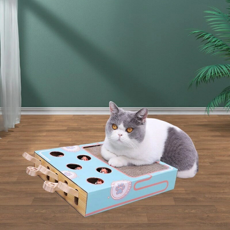樂天商城 - 猫 遊び おもちゃ 遊び場 ひとり 留守番 猫 おもちゃ 一人遊び ひとり遊び ねこおもちゃ 猫玩具 猫爪とぎ段ボール 猫爪研ぎ 猫つめとぎ ねこ