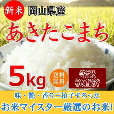 米 お米 5kg あきたこまち 30年岡山産 送料無料