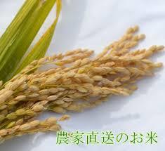 米 お米 5kg 朝日 30年岡山産 送料無料