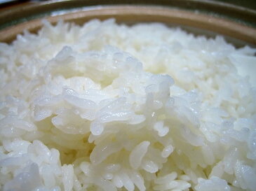 米 5kg アキタコマチブレンド 送料無料