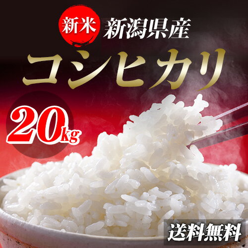 米 お米 20kg 新潟県産 こしひかり 30年産(5kg×4袋) 送料無料