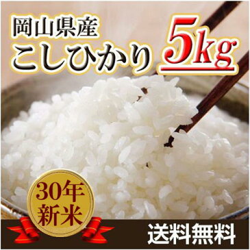 米 お米 5kg コシヒカリ 30年岡山産 送料無料