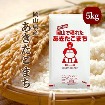 米 お米 5kg あきたこまち 30年岡山産 送料無料