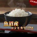 新米 お米 10kg 魚沼産 コシヒカリ 令和元年産 (5kg×2袋) 送料無料