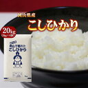 新米 20kg コシヒカリ 岡山県産 (5kg×4袋) 令和3年産 送料無料