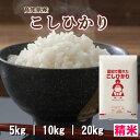 お米 令和5年産 高知県産 コシヒカリ 米 送料無料