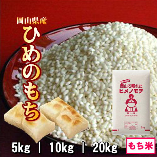 【エントリーP5倍】もち米 10kg 新潟産こがねもち お米 令和5年産 5kg x2袋 送料無料（沖縄のぞく）