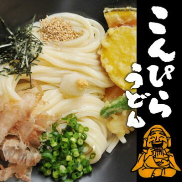 こんぴらうどん 9人前 (300g×3袋) 純生うどん 【送料無料】