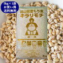 新麦 令和4年産 キラリもち麦 5kg (5kg×1袋) 岡山県産 国産100％ もち麦 送料無料