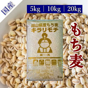 令和5年産 キラリもち麦 岡山県産 国産100％ もち麦 送料無料