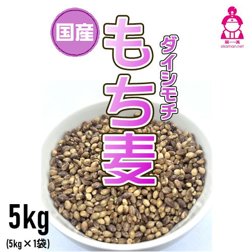 国産 もち麦 ダイシモチ 5kg 紫もち麦