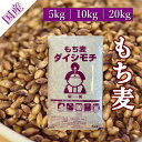 【ふるさと納税】佐賀県産『もち麦』4kg(1kg×4袋) 【キラリモチ】（CI063）