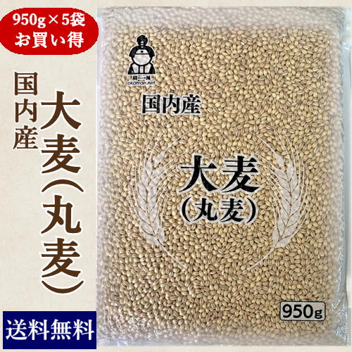 国内産 大麦(丸麦) (950g×5袋) お買い得パック 送料無料