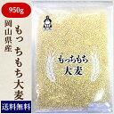 もっちもち大麦 950g チャック付き 令和元年産岡山県産