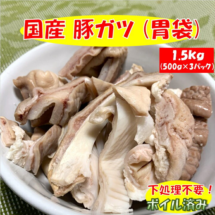 国産 豚 ガツ (胃袋) 1.5kg (500g×3パック) ボイル済み 送料無料 豚肉 ホルモン【代金引換不可】【冷凍..