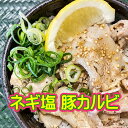 ネギ塩 豚カルビ 焼肉 豚バラ 送料無料 【代金引換不可】【冷凍便発送】