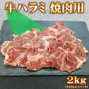 牛ハラミ 焼肉用 2kg【500g×4パック】 味付け無し【北海道・沖縄は配送不可】【冷凍便発送】【代金引換不可】