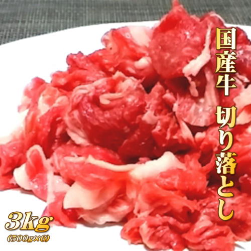 国産 牛肉 切り落とし 3kg (500g×6パック)【北海道・沖縄は配送不可】【冷凍便発送】【代金 ...