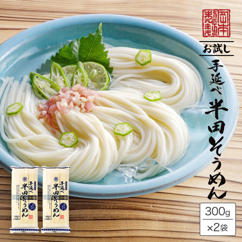 【送料無料】手延べ半田そうめん【6食分】600g（300g×