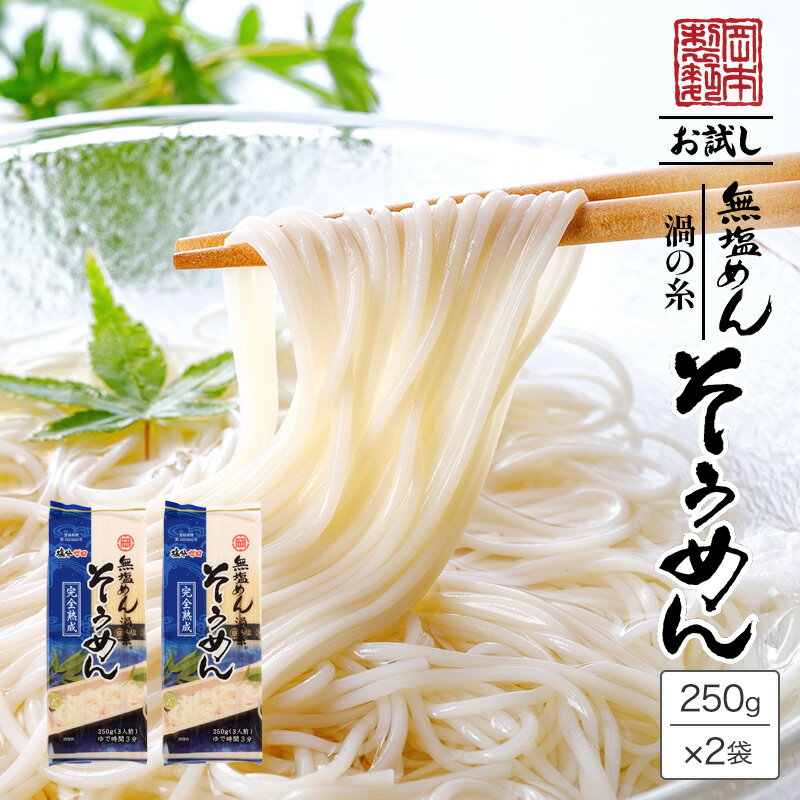 【送料無料】無塩そうめん【6食分】500g（250g×2袋）お試しセット 食塩無添加 塩分0【ネコポス発送】のサムネイル