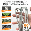 【時間限定3点で12%off!】 新品入荷 ピン 50本 固定用 U字ピン ピン 固定ピン 防草シート 押さえピン 農業用ネット 園芸シート 庭 ガーデニング 固定 人工芝 釘 ピン直径 ワッシャー 農業用 雑草 テント DIY 簡単 ステンレス 固定 室外 屋外 工具