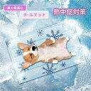 【時間限定4点で12%off!】 洗える 滑り止め おしゃれ ペット用 ひんやり 犬 夏 冷感マット 小型犬 中型犬 防水加工 耐噛み 繰り返し利用可能 熱中症 暑さ夏対策 クールマット 涼感 ひえひえ冷やし シート ワンチャン 猫ちゃん 夏 猫