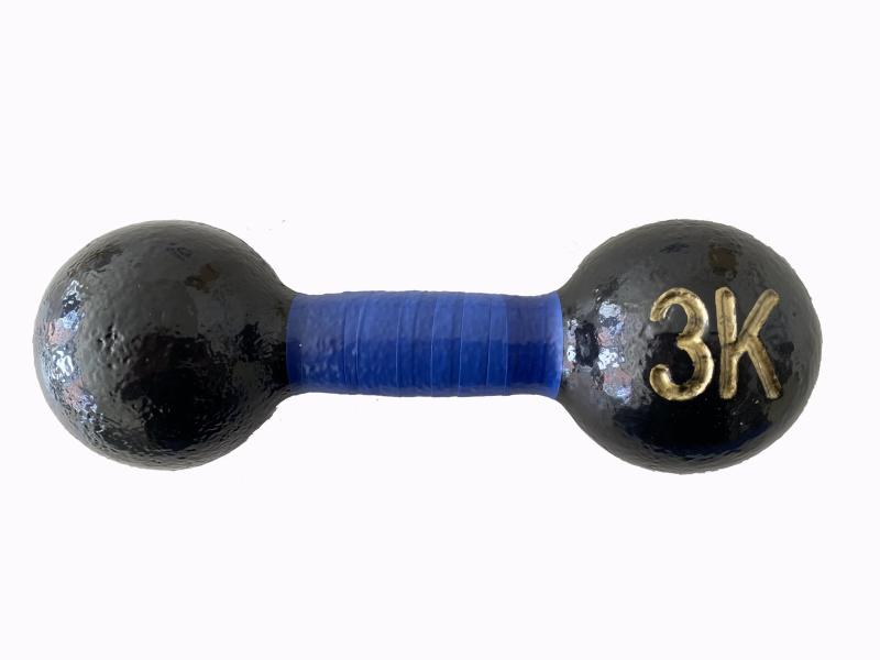 LITEC(ライテック) 鉄アレー 3kg DP005