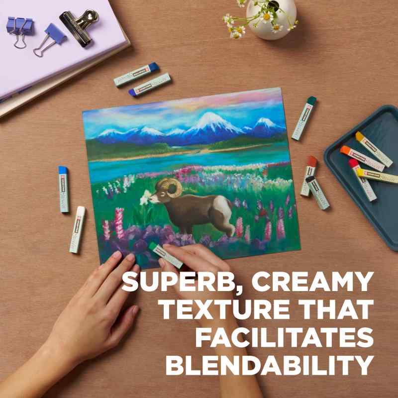 SAKURA サクラクレパス クレパス スペシャリスト 12色 ESP12