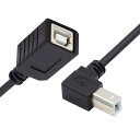 CY USB 2.0 Bタイプ オス-メス延長ケーブル 20cm プリンタースキャナーディスク用