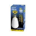 TOSHIBA ネオボールZ A形 60Wタイプ 口金直径17mm 昼光色 EFA15ED/13-E17