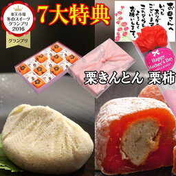 センスのいい和菓子 母の日 プレゼント ギフト 和菓子 スイーツ お菓子 カーネーション 花 花束 選べる メッセージカード 花とセット セット 人気 高級 スイーツグランプリ1位 お取り寄せ 栗 100％ 岐阜中津川 栗きんとん7個 栗きんとん入り市田柿 干し柿 栗柿8個 送料無料