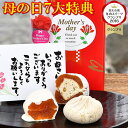 母の日 スイーツ プレゼント ギフト 和菓子 お菓子 フルーツ カーネーション 花 花束 食べ物 選べる メッセージカード 花とセット セット 送料無料 義母 嫁 母の日のプレゼント 実用的 岐阜中津川創業百余年老舗 栗100％ 栗きんとん 栗柿 柿チョコ各2個