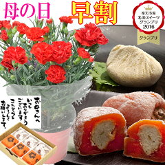 https://thumbnail.image.rakuten.co.jp/@0_mall/okashi/cabinet/haha/2020-hayawari-5gou.jpg