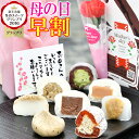 ＼早割 クーポン ／ 母の日 花とスイーツ プレゼント スイーツ ギフト お菓子 和菓子 母の日のプレゼント カーネーション 花 食べ物 メッセージカード 実用的 送料無料 栗柿 栗きんとん 栗きんとん水饅頭 栗粉餅各2個 抹茶 和んぶらん大福各1個 チョコ 生キャラメル大福各1個の商品画像