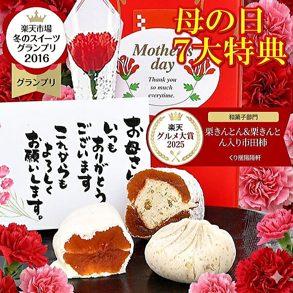 ＼ 母の日 楽天グルメ大賞 2025受賞 ／ ギフト プレゼント 和菓子 スイーツ お菓子 2026 カーネーション 花 セット 詰め合わせ 高級 人気 花以外 花とセット 送料無料 義母 嫁 母の日のプレゼント 岐阜中津川栗100％栗きんとん 栗柿 柿チョコ各2個（楽天・くり屋南陽軒）
