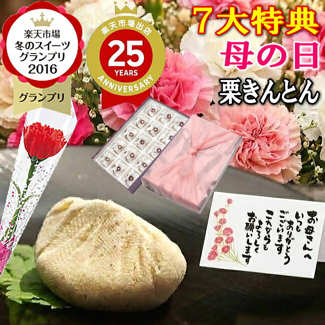 母の日 ギフト プレゼント 和菓子 スイーツ お菓子 カーネーション 2026 花 セット 詰め合わせ 高級 人気 花以外 誕生日プレゼント 秘..