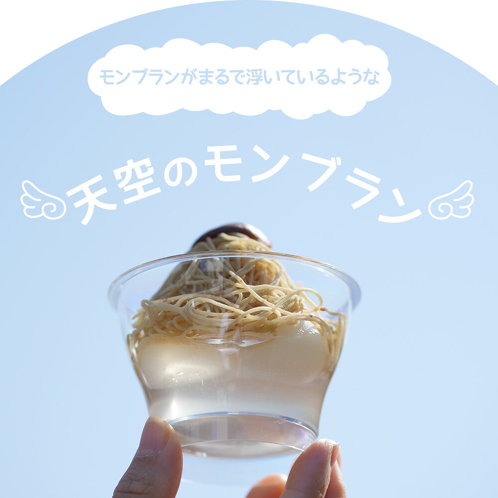 くり屋南陽軒の＼ インパクト抜群 天空のモンブラン ／ お中元 ギフト プレゼント スイーツ お菓子 洋菓子 和菓子 食べ物 高級 菓子 詰め合わせ 岐阜中津川の栗100％ 栗きんとん だけを 水 プリン に絞った 天空の純栗きんとん モンブラン 4個｜アングル3
