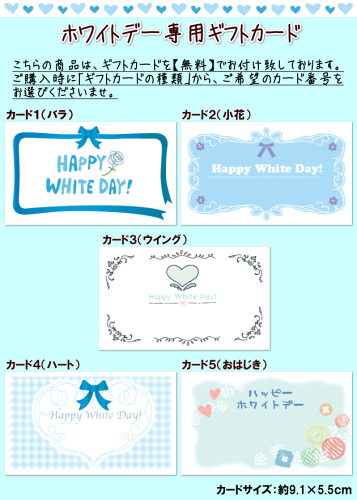 岐阜中津川栗きんとん5個 栗きんとん入り干し柿栗柿5個入 ホワイトデー お返し