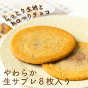 生サブレ2種類セット 和菓子 洋菓子 チョコレート キャラメル クリーム やわらかい 焼菓子 和スイーツ 個包装 内祝 結婚祝い 誕生日 土産 茨城 ギフト ギフトセット 帰省 帰省土産 茨城 バレンタイン プチギフト お供え 夏ギフト お中元