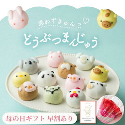 かわいい和菓子 【まだ間に合う！母の日】どうぶつまんじゅう かわいいスイーツ お試し 6個入 10個入 饅頭 まんじゅう 動物 どうぶつ 和菓子 ギフト 内祝 結婚祝い 出産祝い 誕生日 餡子 40代 50代 60代 メッセージカード付き プレゼント 帰省土産 茨城 誕生日 あんこスイーツ 個包装