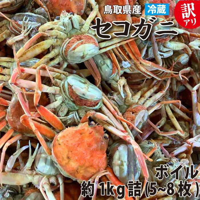 【鳥取から直送】冬の味覚 浜ゆでセコガニ 訳あり 1kg詰め (5〜8枚)