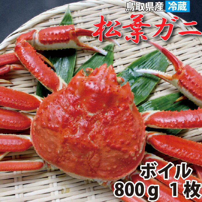 【レビュー特典あり】【鳥取から直送】贈答にも！ 冬の味覚 浜ゆで松葉ガニ 大 (800g以上) 1枚