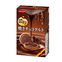 イトウ製菓 焼きチョコタルト 8枚(個包装) 40コ入り 2024/09/02発売 (4901050130012c)