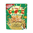 カルビー じゃがりこサラダbits大モリ 100g 12コ入り 2025/06/02発売 (4901330651176)