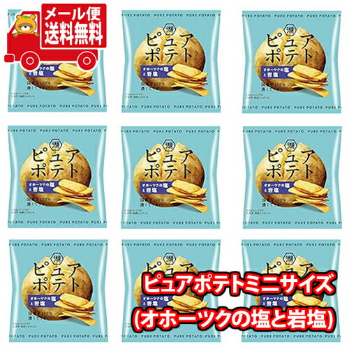 (全国送料無料)【9コ】1500円ポッキリ！湖池屋 ピュアポテト(オホーツクの塩と岩塩) ミニサイズメール便 (4901335143232px9m)【送料無料 詰め合わせ おやつ 小袋 ぽっきり ポッキリ】